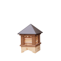Cupolas and Weathervanes 1