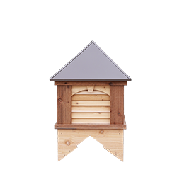 Cupolas and Weathervanes 2