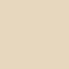 Paint Color 1