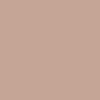 Paint Color 7