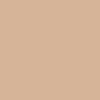 Paint Color 8